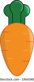Carrot vector design template and illustration with editable