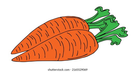 Icono de dibujo vectorial de restricción. Vegetable en estilo retro, ilustración esquemática del producto agrícola para el diseño de productos publicitarios tienda o mercado.