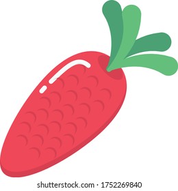 carrot vector flat color icon 