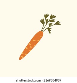 Carrot vector fresh simple illustration. Isolated vector clipart, Hand-drawn minimalist vector illustration