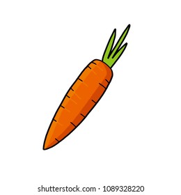 Carrot vector graphic illustration.