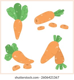 Carrot vector, hand drawn, orange, vegetable