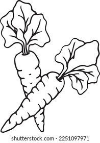 carrot vector hand drawn sketch with drawing pen