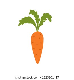 Carrot Vector Icon