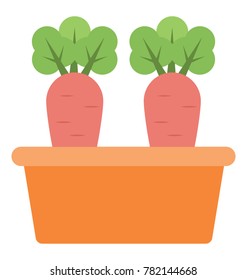
Carrot Vector Icon
