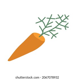 Carrot vector icon in flat style on white background.