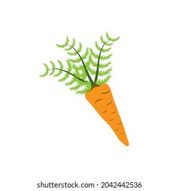 Carrot vector icon illustration design template.