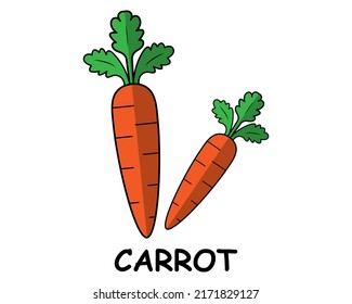 Carrot vector icon illustration design template on white background