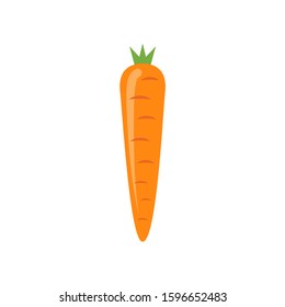 Carrot vector icon isolated illustration. Carrot symbol vegetarian.