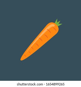 Carrot vector icon isolated illustration. Carrot symbol vegetarian.