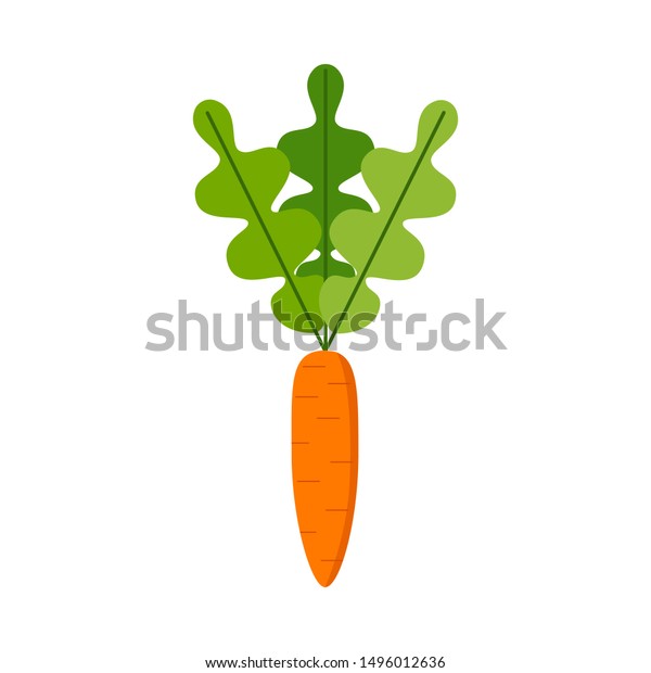 carrot vector icon carrot icon isolated stock vector royalty free 1496012636 shutterstock