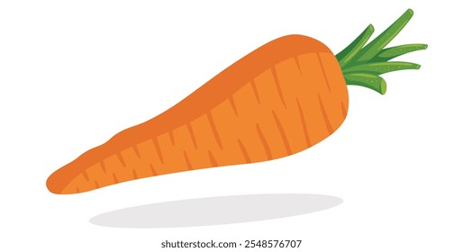 Vetor de cenoura. Ícone de cenoura, Vegetal, Laranja, Fresco, Fruta, Ícone de cenoura, Símbolo de cenoura. Pode ser usado para infográfico, banner, web design. Isolado sobre fundo branco