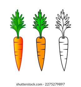 Carrot vector icons on white background