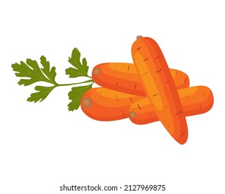 Carrot, Vector illustraion. Set the carrot