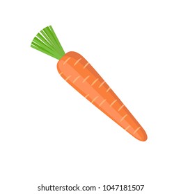 Carrot. Vector Illustration.