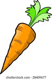 Carrot Vector Illustration