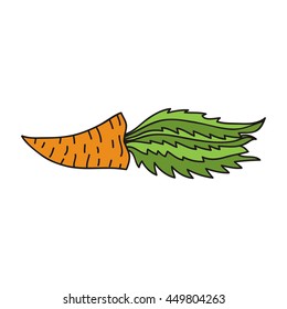 Carrot. Vector illustration.