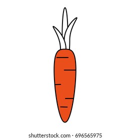 carrot vector illustration