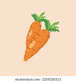Carrot vector illustration designed in flat cartoon style. Carrot doodle icon. Daucus carota L.
