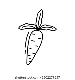 Zanahoria. Ilustración vectorial en estilo doodle