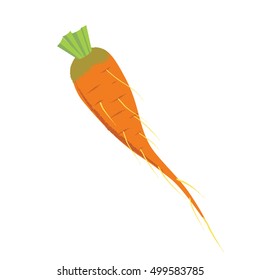 Carrot. Vector illustration. Eps10
