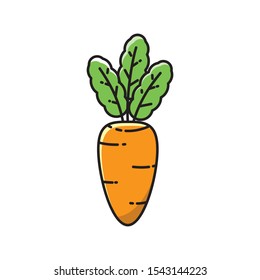 Carrot vector illustration with filled line design isolated on white background. Carrot icon 