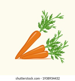 carrot vector. carrot illustration and flat design