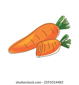 Carrot vector illustration – fresh orange vegetable with green leaves, whole and sliced. Hand-drawn cartoon style, perfect for food packaging, menus, farm markets, healthy eating concepts, and digital