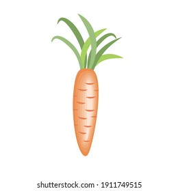 Ilustración vectorial de zanja. Verduras frescas aisladas de fondo blanco.