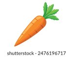 Carrot Vector Illustration for Graphic Design Projects
