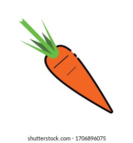 
carrot vector illustration of icon