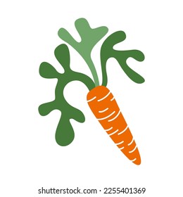 Carrot vector illustration icon isolated on white background. Vegetables locally grown, farm, countryside, healthy food