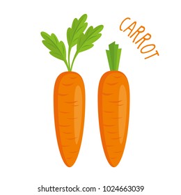 Carrot vector illustration isolated
