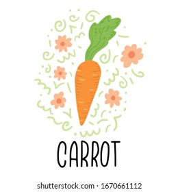Carrot vector illustration isolated. Concept of healthy food, vegetable. Carrot have abstract, simple cartoon, hand drawn style.