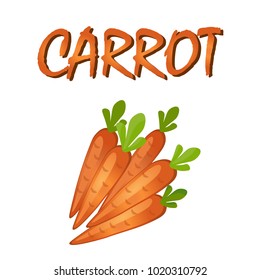 Carrot vector illustration isolated on a white background