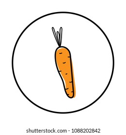 Carrot vector illustration isolated on a white background