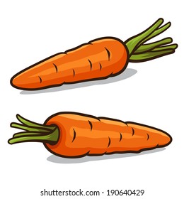 Carrot vector illustration isolated on a white background