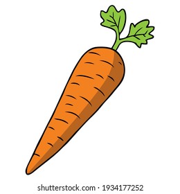 carrot vector illustration, isolated on white background,top view