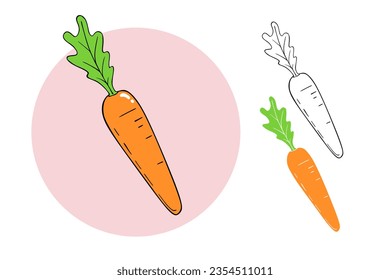 Carrot vector illustration isolated on white background