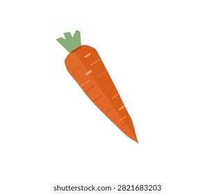 carrot vector illustration isolated on transparent background.