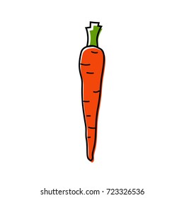 Carrot vector illustration isolated on a white background