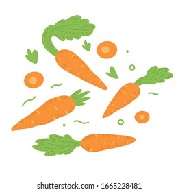 Carrot vector illustration isolated set. Concept of healthy food, vegetable for background, icon design. Carrot have abstract, simple cartoon, hand drawn style.