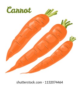 Carrot vector illustration on white background. Icon in flat style. Fresh cartoon vegetable. Template for magazine, book, poster, card, menu cover, web pages.