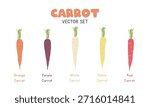 Carrot Vector Illustration Set. Multicolor Carrot Cartoon Clipart Set in Flat Style. Orange, Purple, White, Yellow, and Red Carrot, Flat Vector Design