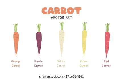 Conjunto de ilustrações vetoriais de cenoura. Conjunto de Clipart de Animação de Cenoura Multicolor em Estilo Plano. Laranja, Roxo, Branco, Amarelo e Cenoura Vermelha, Design Vetorial Plano