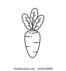 Carrot vector illustration with simple line design. Carrot icon 