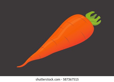 carrot vector illustration. Sliced