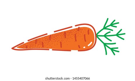 Carrot. Vector illustration of a tasty red vegetable in flat and line-art style for print, banner or postcard.