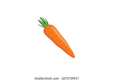 Carrot Vector Illustration Of Vegetable