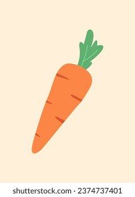 Carrot Vector Illustration, Vegetable Art Flat Design